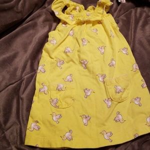 Spring birds dress Worn once!